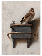 Carel Fabritius The Goldfinch - Art Print
