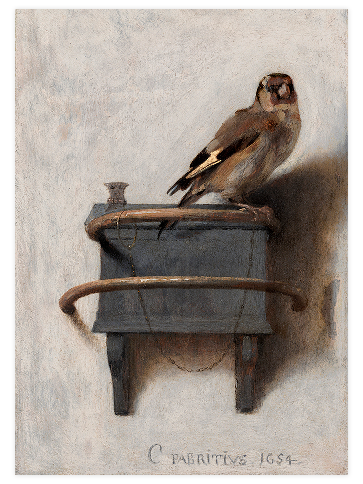 Carel Fabritius The Goldfinch - Art Print