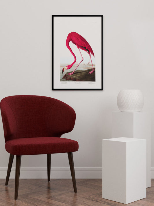 American Flamingo Poster - Giclée Baskı