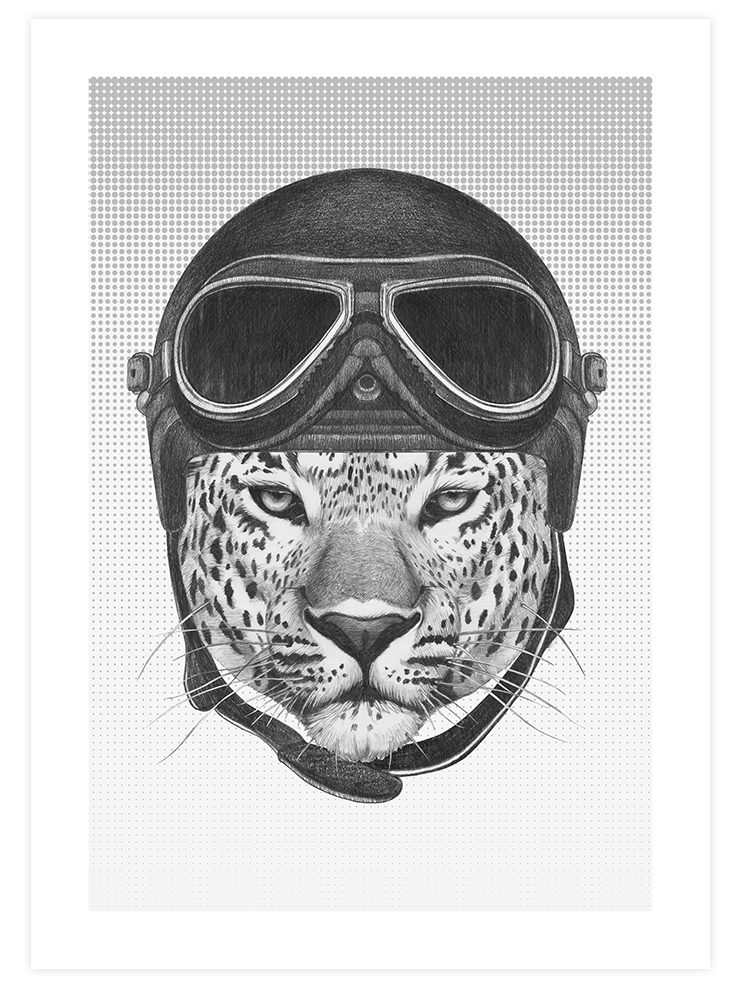 Leopar Pilot - Art Print
