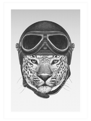 Leopar Pilot - Art Print