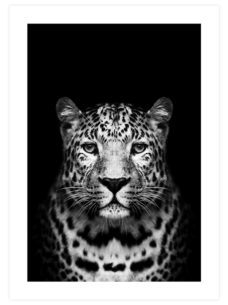 Leopar - Art Print Ürün ana görseli