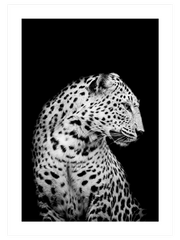 Leopar Profili - Fine Art Poster
