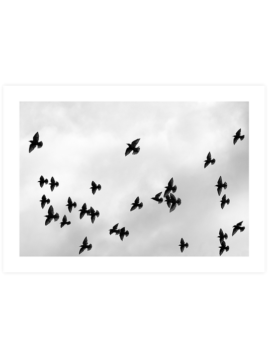 Like A Bird N3 Poster - Giclée Baskı