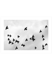 Like A Bird N3 - Fine Art Poster