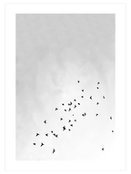 Like A Bird - Art Print