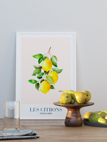 Les Citrons - Art Print