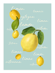 Meyveli Kombo Poster Seti