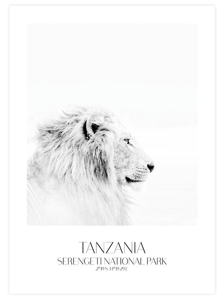 Lion D'afrique - Art Print Ürün ana görseli