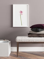 Lotus Çiçeği - Art Print