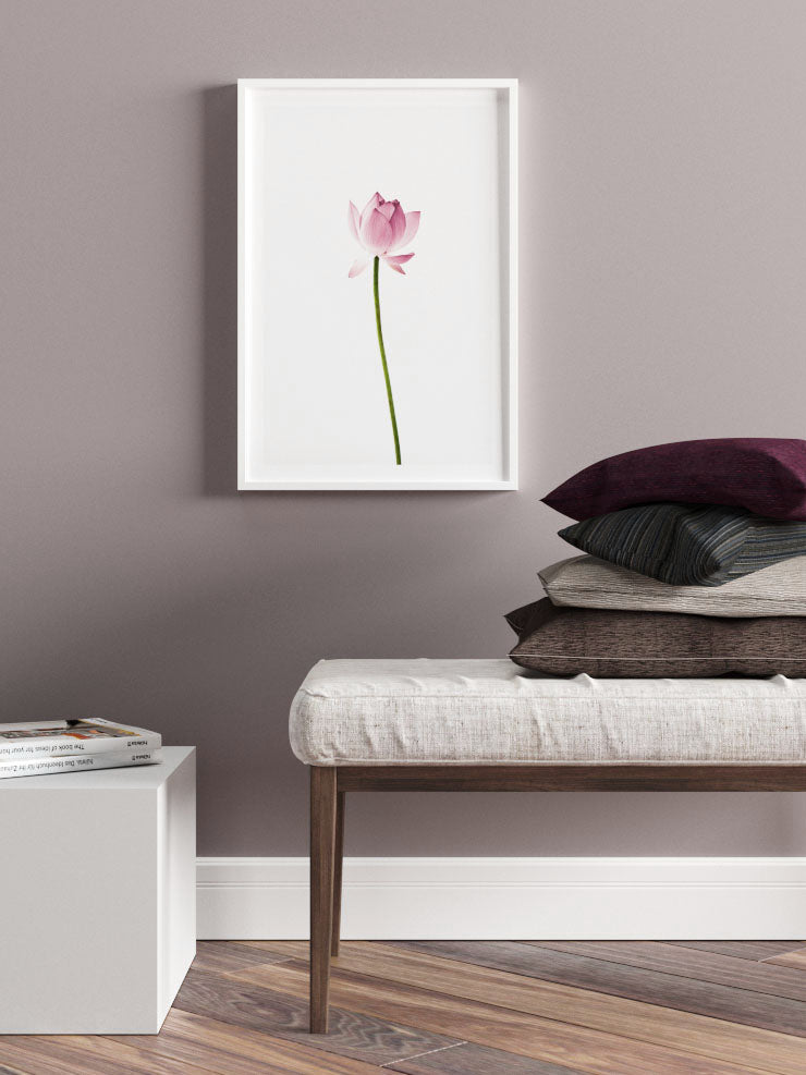 Lotus Çiçeği - Art Print  Poster
