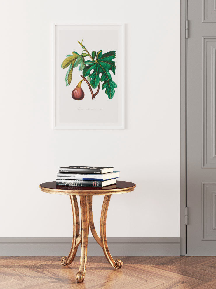 İncir - Art Print Ürün ikincil görseli