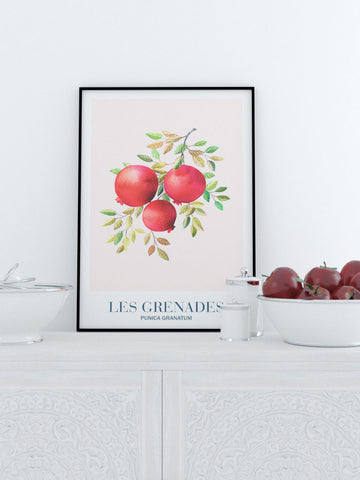 Les Grenades - Art Print