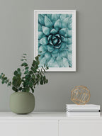 Aloe Vera N1 - Art Print