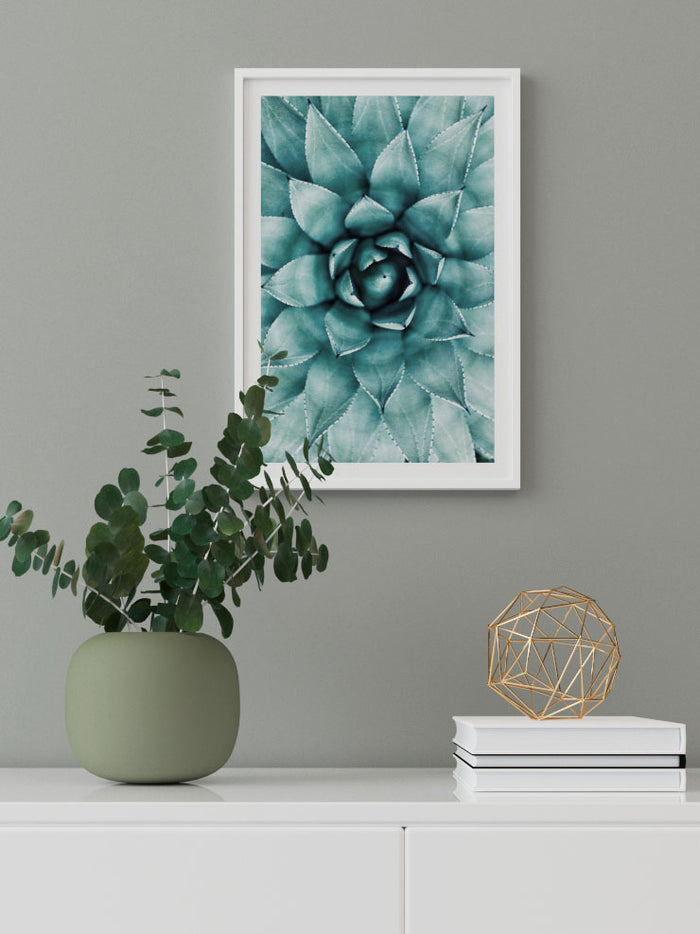 Aloe Vera N1 - Art Print  Poster