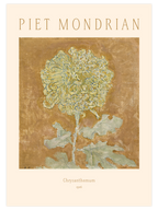 Piet Mondrian Chrysanthemum N2 - Art Print