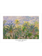 Monet Palmiers à Bordighera - Art Print