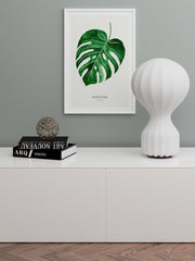 Monstera Yaprağı - Fine Art Poster
