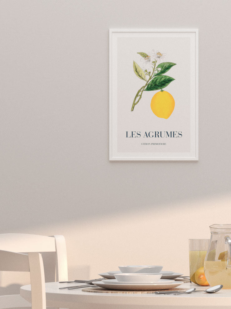 Limon - Art Print