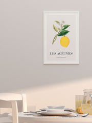 Limon - Fine Art Poster