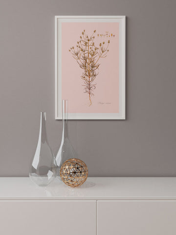 Kum Bitkisi - Art Print
