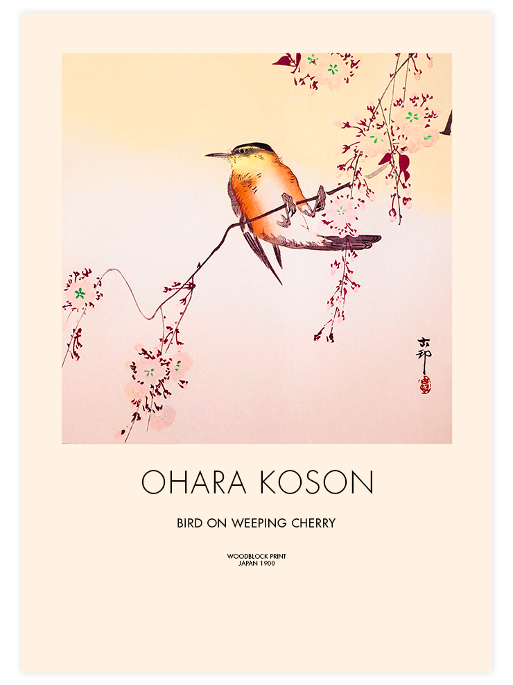 Ohara Koson Bird on Weeping Cherry - Art Print Ürün ana görseli