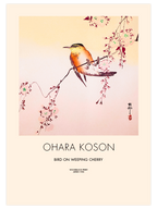 Ohara Koson Bird on Weeping Cherry - Art Print