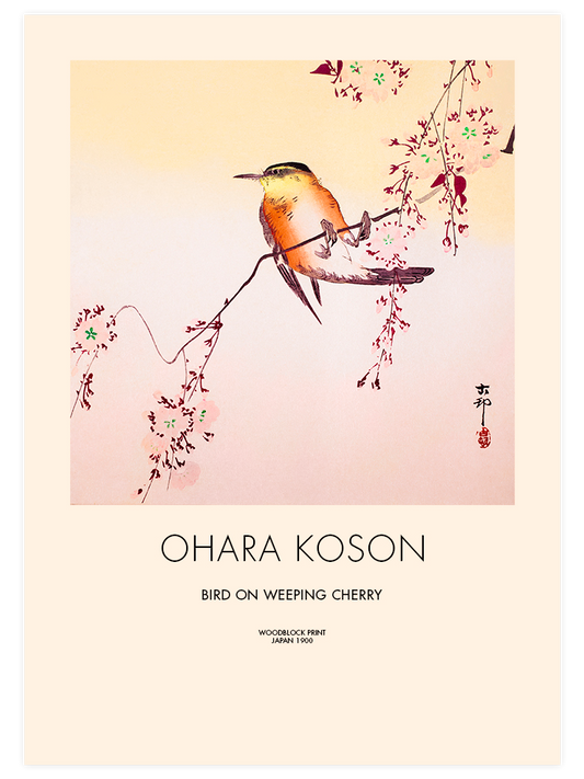 Ohara Koson Bird on Weeping Cherry Poster - Giclée Baskı