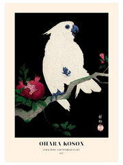 Ohara Koson Cockatoo and Pomegranate - Fine Art Poster