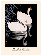 Ohara Koson White Chinese Geese - Art Print