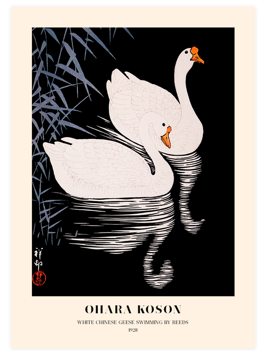 Ohara Koson White Chinese Geese - Art Print