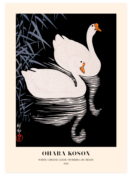 Ohara Koson White Chinese Geese Poster - Giclée Baskı