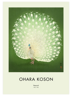 Ohara Koson Peacock - Art Print