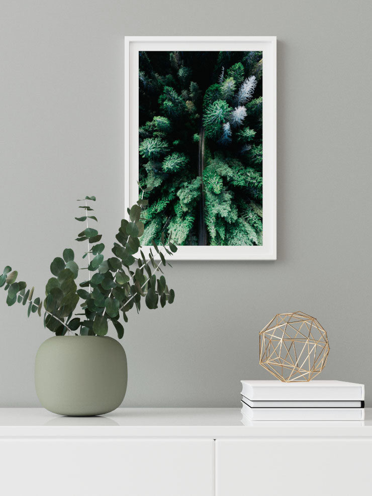 Çam Ormanı - Art Print