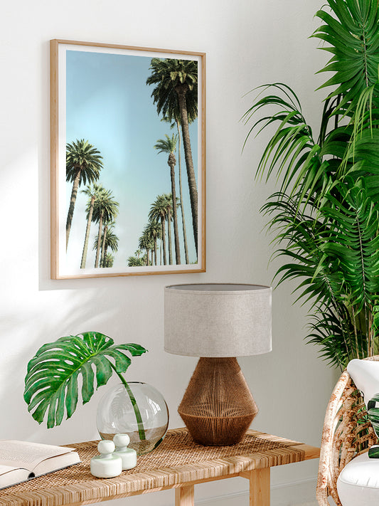 Palms - Fine Art Poster