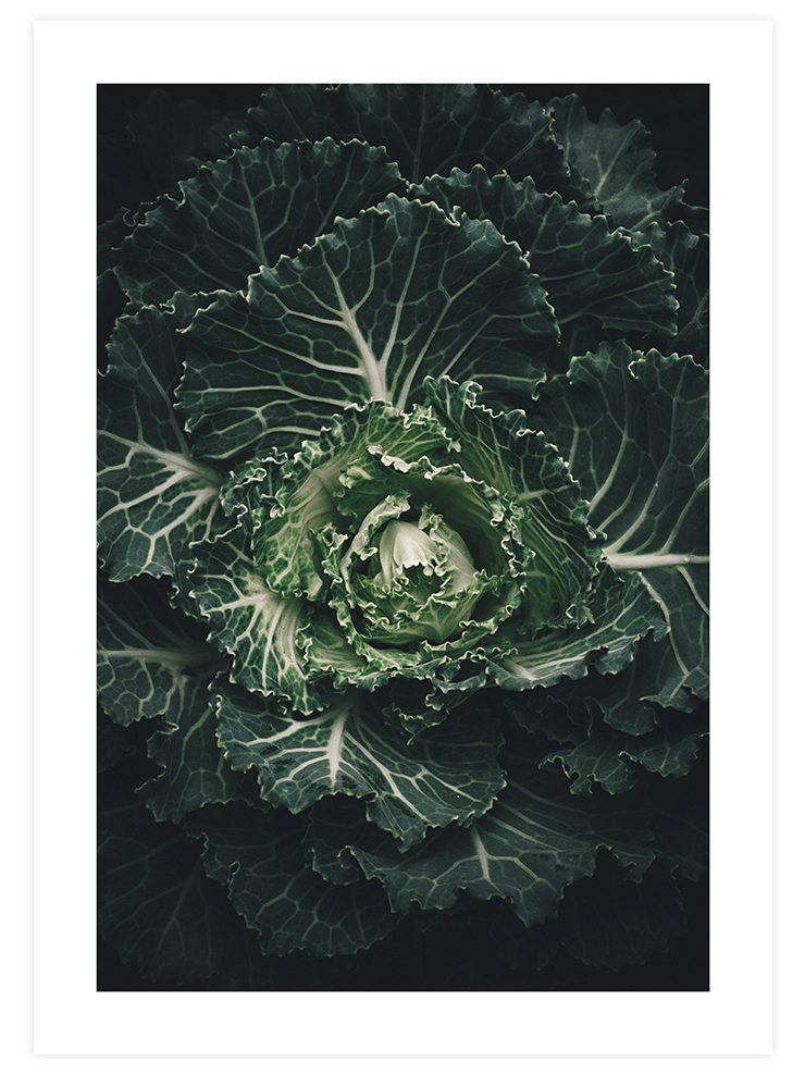 Abondance - Art Print Ürün ana görseli