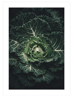 Abondance - Art Print