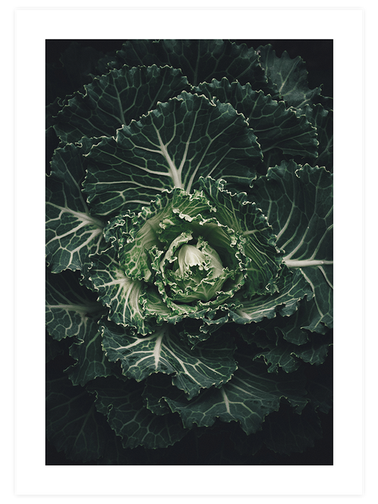 Abondance - Art Print