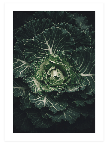 Abondance - Art Print