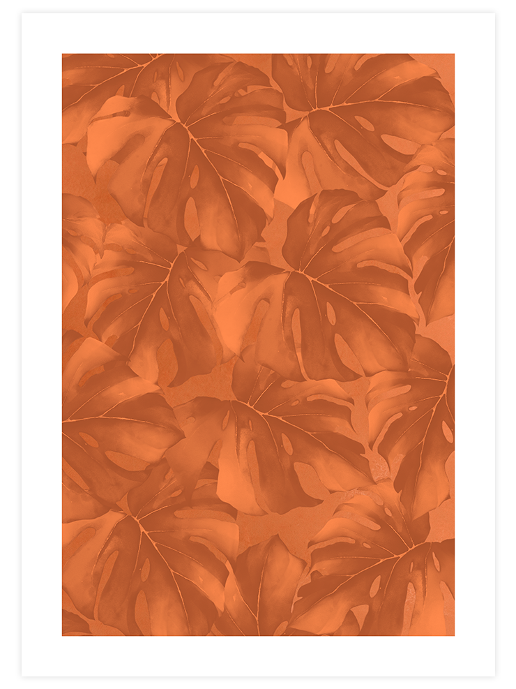 Aequalis N3 - Art Print