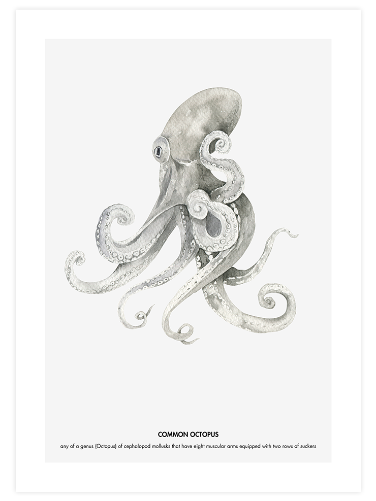 Ahtapot - Art Print Ürün ana görseli