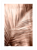 Altın Palmiye - Art Print