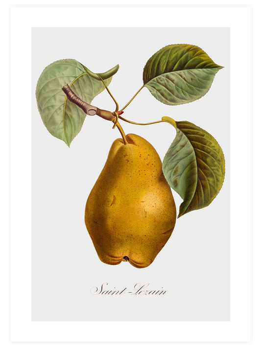 Armut - Art Print