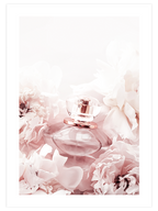 Arôme Rose - Art Print