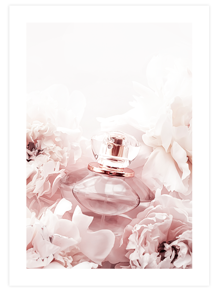 Arôme Rose - Art Print Fotoğraflar Poster