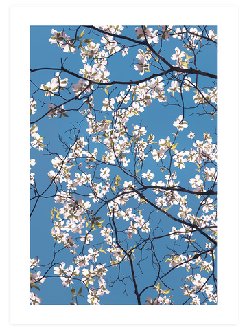 Badem Ağacı - Art Print