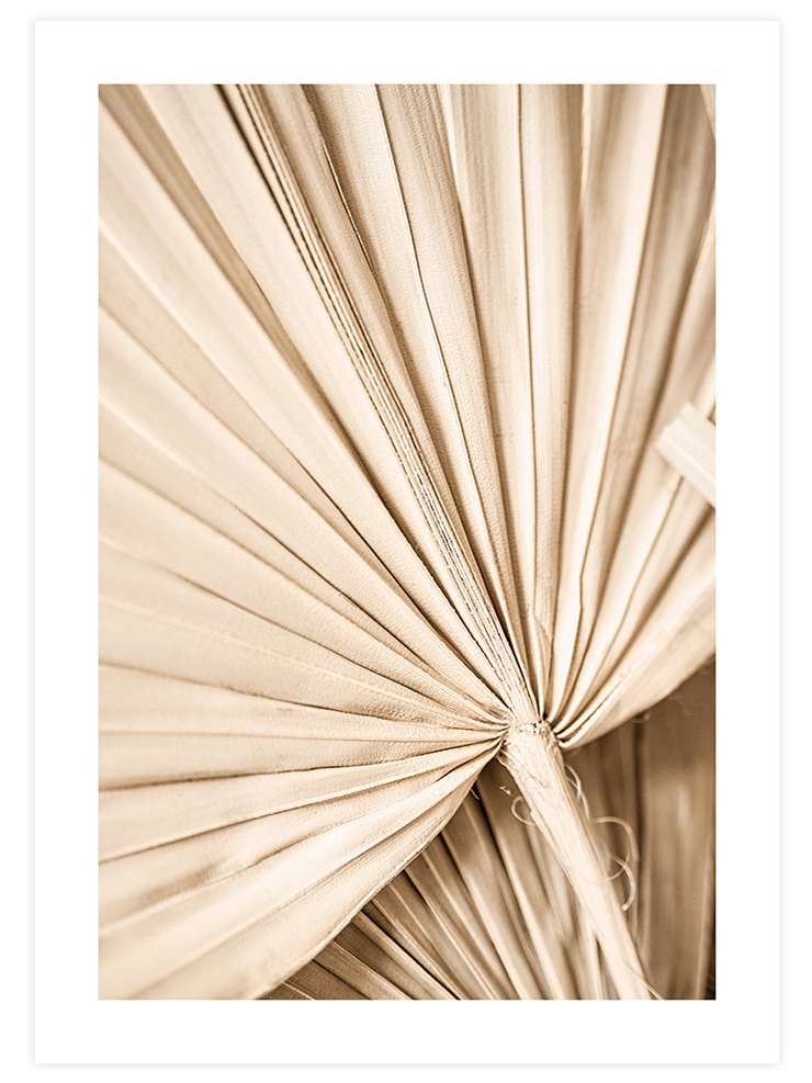 Bej Palmiye Yaprakları N2 - Art Print Ürün ana görseli