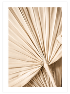 Bej Palmiye Yaprakları N2 - Art Print