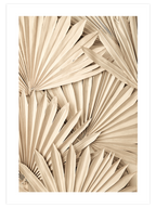 Bej Palmiye Yaprakları - Art Print
