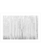 Beyaz Orman - Art Print